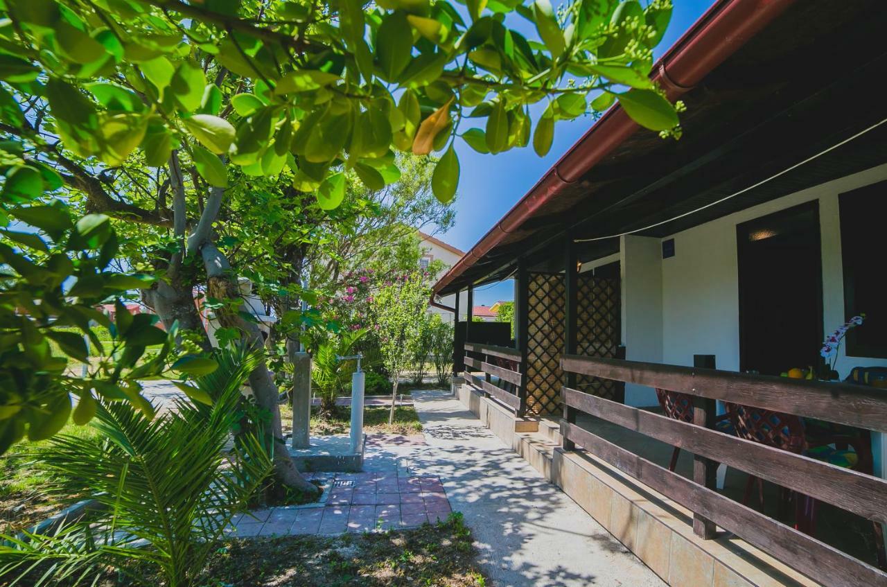Serenity By The Sea #1 - Private Terrace 沃希 外观 照片